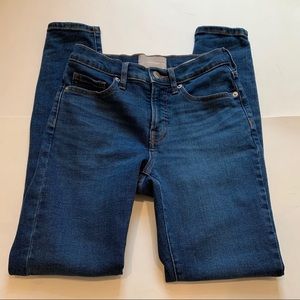 Everlane Blue High Rise Skinny Jeans Size 26